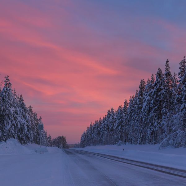 Snow-lined forest road under a pink Nordic sky