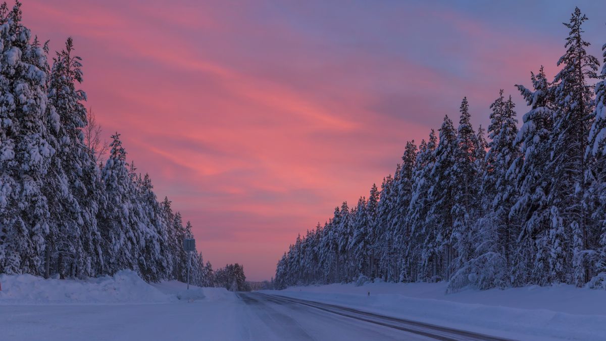 Snow-lined forest road under a pink Nordic sky