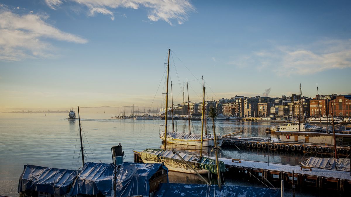 Stockholms hamn med förtöjda båtar i gyllene ljus